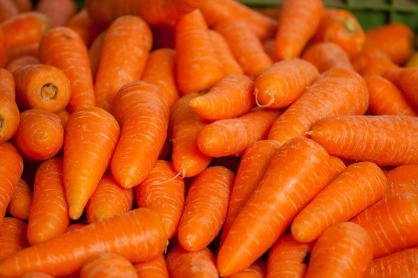 1-carrots-1508847_1920.jpg