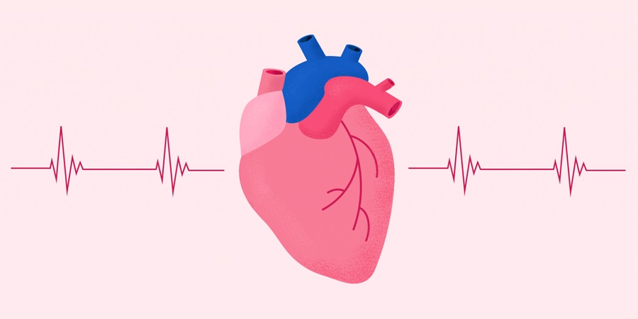 ضربان قلب نرمال چقدر است و چطور می‌توانیم آن را اندازه بگیریم؟