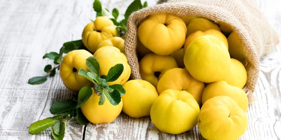 افزایش ایمنی بدن با «میوه به»؛ با فواید میوه پاییزی به آشنا شوید