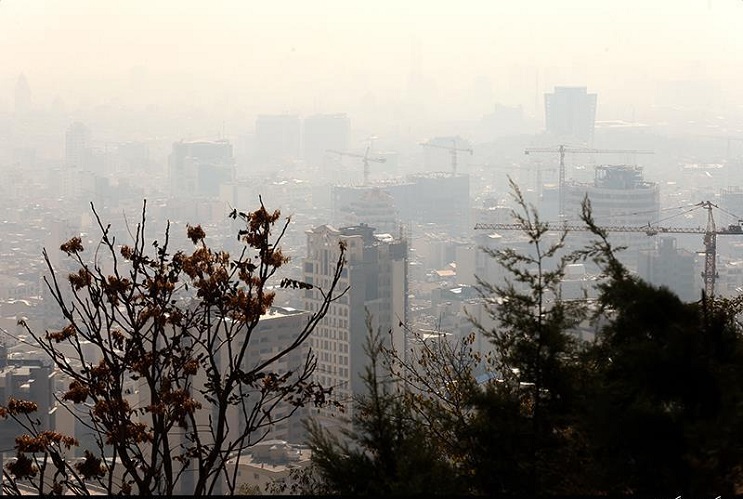 تراژدی آلودگی هوا: مردگانی که در بهشت زهرا به صف شدند