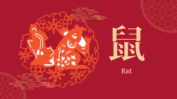 سال جاری در زودیاک چینی سال موش است و اگر می خواهید بدانید بر اساس سال تولدتان، در سال موش چه چیزی در انتظار شما خواهد بود با ادامه مطلب همراه باشید.