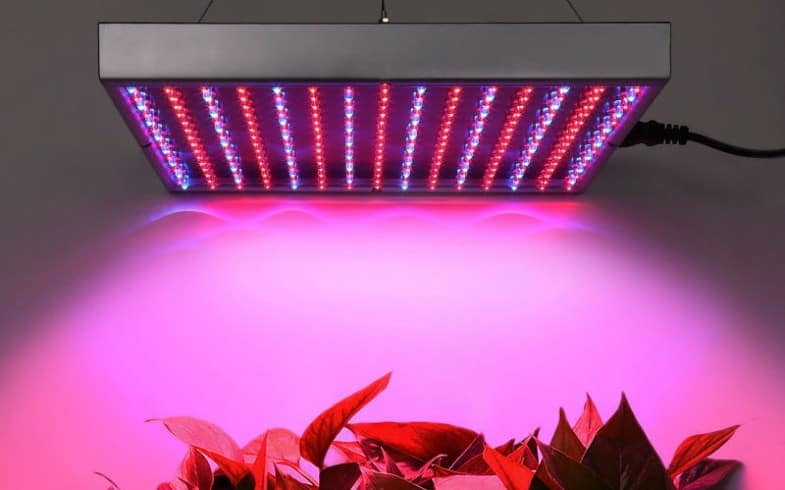 لامپ رشد گیاه LED دارای دیودهای متنوعی است که هر کدام یک رنگ واحد خاص از نور را تولید می کند، اما رنگ قرمز و آبی غالب است.