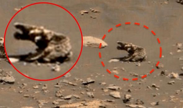 موجودات فضایی در مریخ؟ کشف عجیب شکارچیان سفینه های فضایی در عکس های ناسا