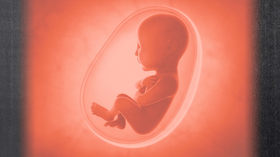 انواع روش های سقط جنین عمدی و خطرات آنها را بشناسید