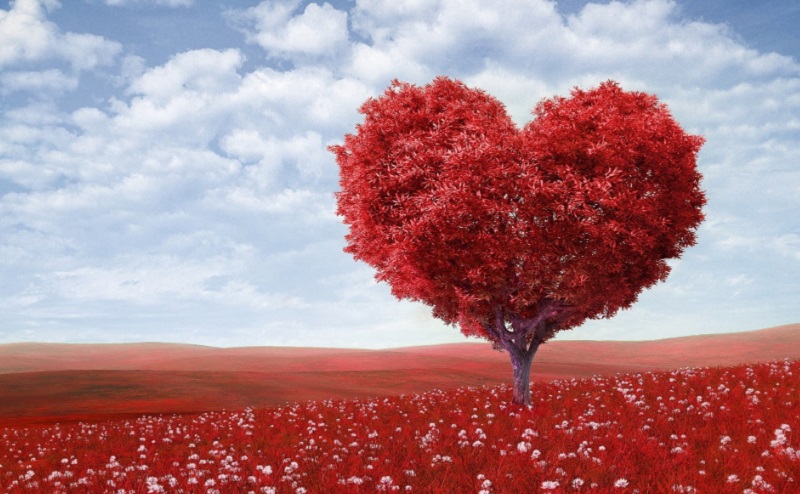 روز جهانی عشق را با نقل قول‌های عاشقانه به کام مخاطب خاصتان شیرین کنید
