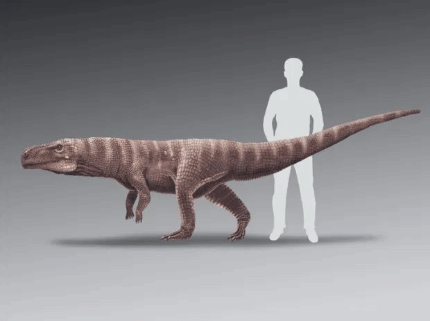 کشف ردپای یک کروکودیل دایناسور که مانند انسان ها روی دو پا راه می‌رفته است