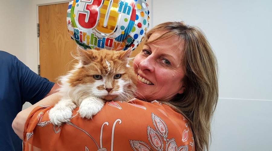 پیرترین گربه دنیا در سن ۳۱ سالگی از دنیا رفت