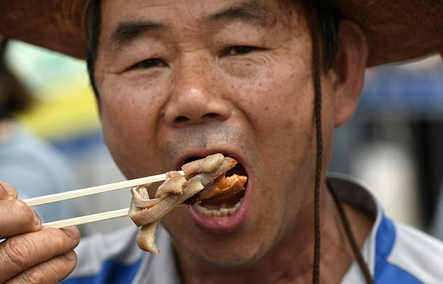 خوردن گوشت سگ در کره شمالی