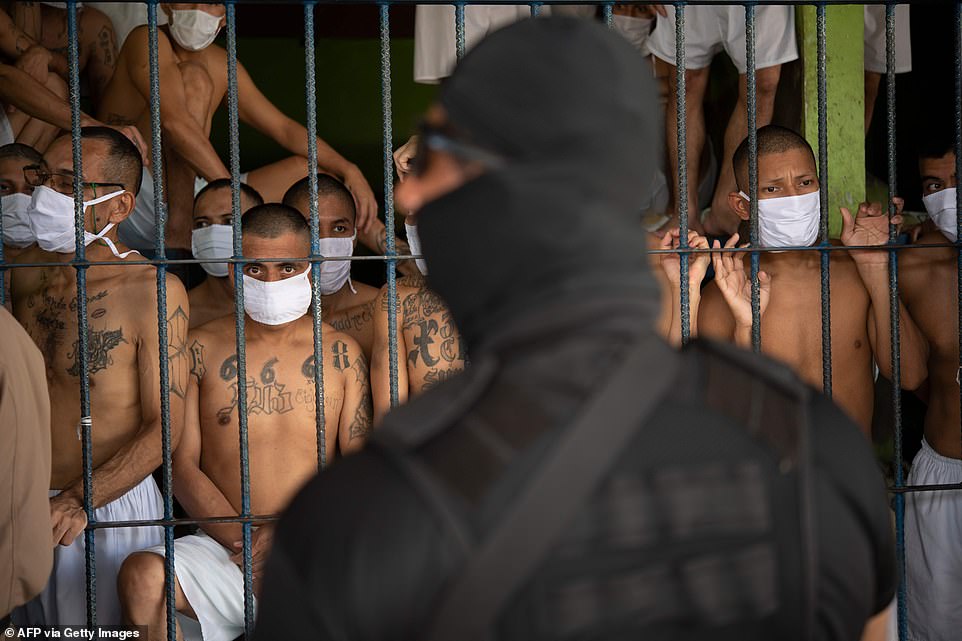 انتقام متفاوت و سختگیرانه رییس جمهور السالوادور از دار و دسته های خلافکار + ویدیو