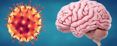 محققان: ویروس کرونا سلول های مغز را می کشد