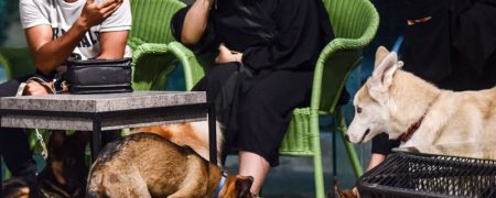 افتتاح اولین کافی شاپ مجاز به ورود سگ ها در عربستان سعودی