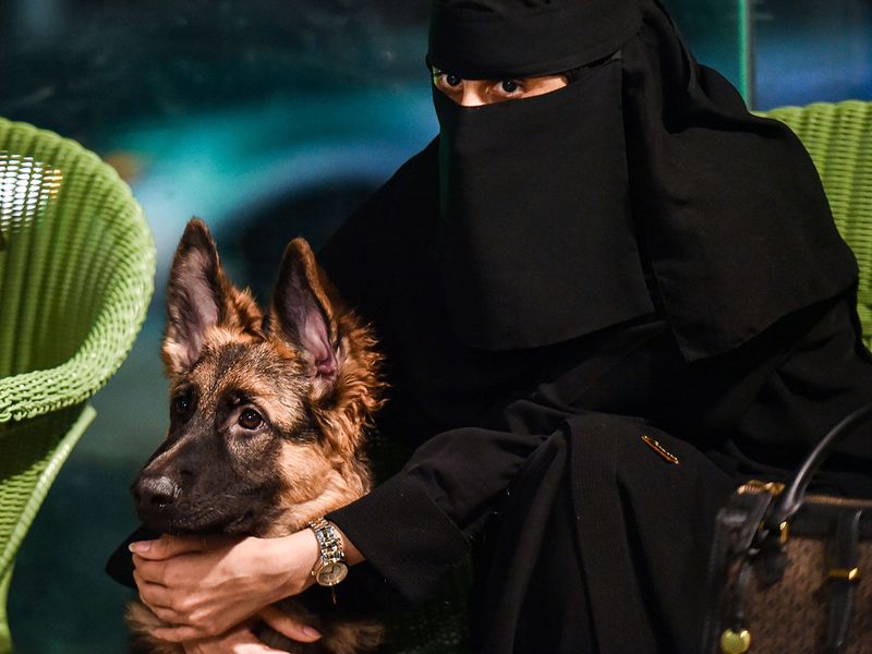 The Barking Lot؛ افتتاح اولین کافی شاپ مجاز به ورود سگ ها در عربستان سعودی