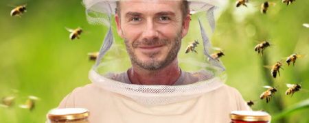 زنبورداری و تولید عسل ؛ کسب و کار جدید دیوید بکهام بدنبال ابتلا به کرونا