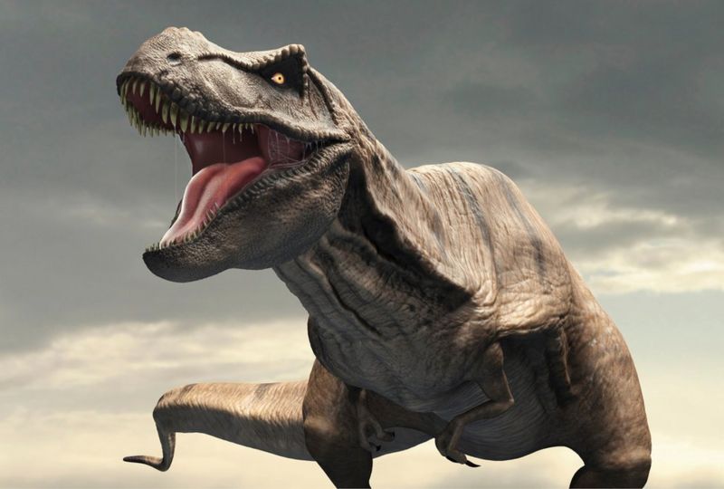 فروش یکی از کامل ترین اسکلت های دایناسور تیرانوسوروس رکس رکورد فروش اسکلت دایناسورها را شکست، اسکلتی که اواخر هفته گذشته در حراجی کریستی به قیمت باورنکردنی 31.8 میلیون دلار فروخته شد.