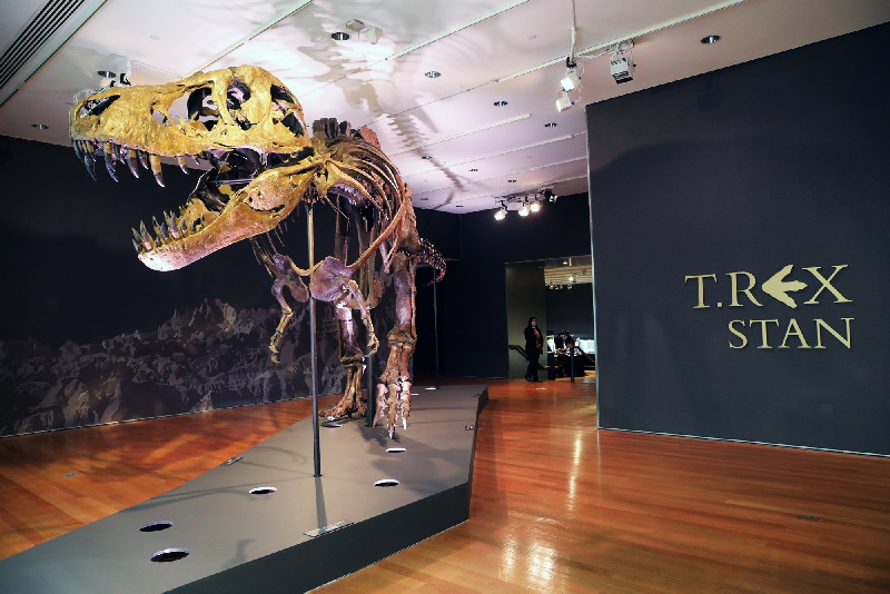 فروش یکی از کامل ترین اسکلت های دایناسور تیرانوسوروس رکس رکورد فروش اسکلت دایناسورها را شکست، اسکلتی که اواخر هفته گذشته در حراجی کریستی به قیمت باورنکردنی 31.8 میلیون دلار فروخته شد.