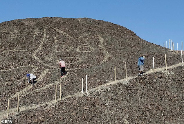 شناسایی تپه نگاره ای ۲۲۰۰ ساله از یک گربه در پرو