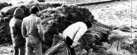 اعترافات قاتل سریالی کره‌ای در برابر مردی که به خاطر یکی از جنایات او ۲۰ سال زندانی شد