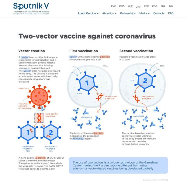 واکسن اسپوتنیک وی (Sputnik V) که توسط ولادیمیر پوتین در ماه آگوست به عنوان اولین واکسن کرونا معرفی شده بود اکنون با چالش بزرگی مواجه شده است.