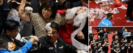 دعوای نمایندگان مجلس تایوان با دل و روده خوک + ویدیو