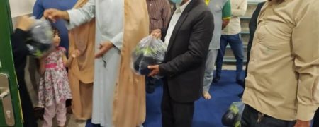 توزیع بادمجان در میان روستاییان دشتستان ؛ ماجرا چه بود؟