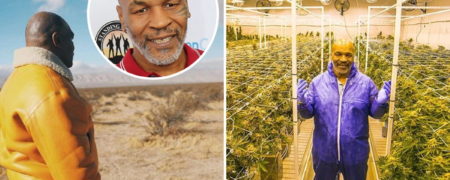 اعتراف مایک تایسون به مصرف ماریجوآنا پیش از مسابقه با ری جونز جونیور در ۵۴ سالگی