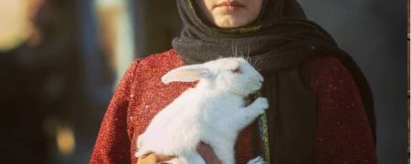 درباره فیلم سینمایی «تی تی» که به جشنواره توکیو رسید