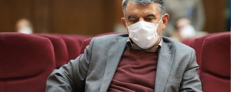 افشای دست گل های رئیس سازمان خصوصی سازی در دادگاه: داستان «پوری حسینی»