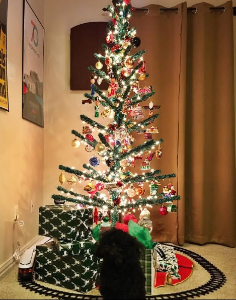  ایده کریسمس ساده