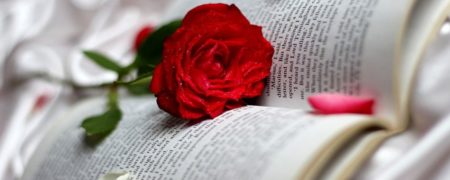 معرفی ۴ رمان عاشقانه با قصه های جذاب که از خواندن آن ها لذت می برید