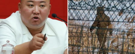 تزریق مخفیانه واکسن چینی کرونا برای رهبر کره شمالی و حبس ناقضان قرنطینه در معدن زغال سنگ