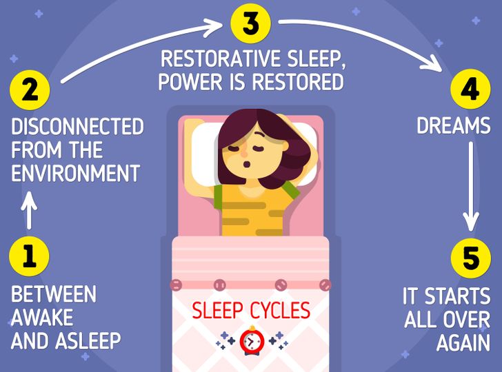 به گفته کارشناسان، وقتی که می خوابیم، وارد مراحل مختلفی می شویم که همه آن ها شامل خواب دیدن نخواهند بود. اما سوال این است که چرا می خوابیم و خواب می بینیم؟