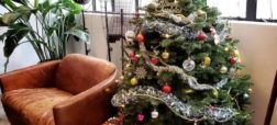 طرح‌های دوست داشتنی برای تزیین درخت کریسمس و طراحی مینیمال