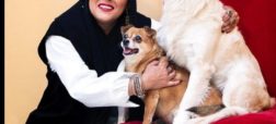 سگ ها، دوستان و آثار «الهام شعبانی»: دراگ تستر ملکه گدایان