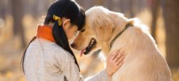دانشمندان: انسان ها سگ ها را تصادفاً اهلی کردند
