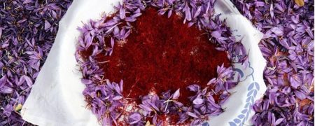 ۲ نماد جدید بورس کالا آمد: داستان «نهال» و «سحر خیز» چیست؟