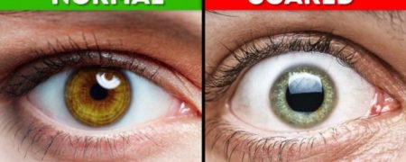 حقایقی خواندنی درباره بدن انسان و شگفتی های آن