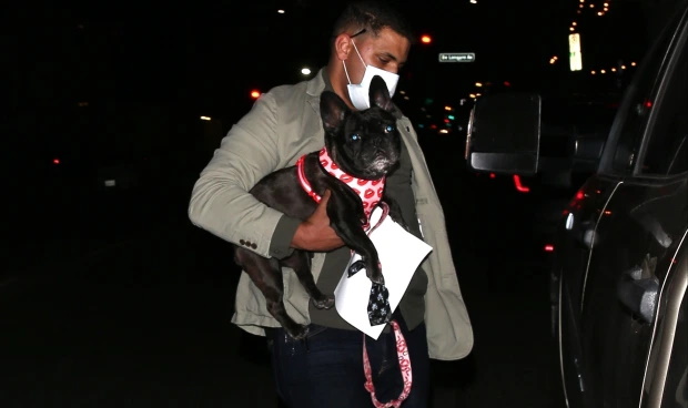 لیدی گاگا برای یافتن سگ های کمیاب خود که توس دو سارق مسلح به سرقت رفته اند 500,000 دلار جایزه تعیین کرده است.