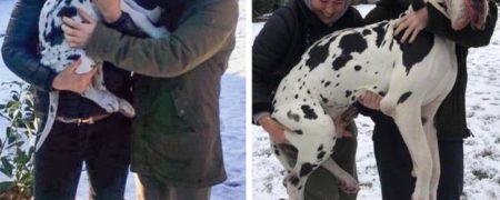 عکس هایی که نشان می دهند اندازه ها نسبی هستند