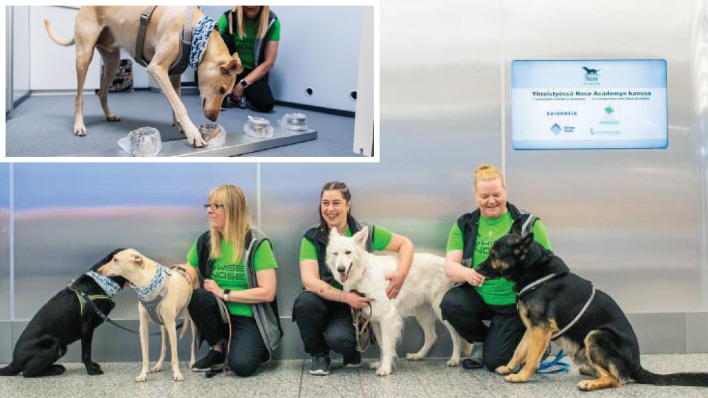 یک دامپزشک در آلمان مدعی شده سگ هایی را آموزش داده که ویروس کرونا را در نمونه های بزاق انسان با بیش از 94 درصد دقت شناسایی می کنند.