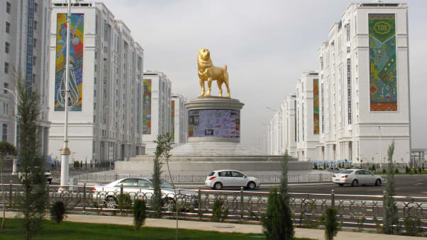 نژاد سگ آلابای که که نژادی از سگ گله آسیای مرکزی مختص ترکمنستان است، در این کشور منزوی به سمبل افتخار ملی تبدیل شده