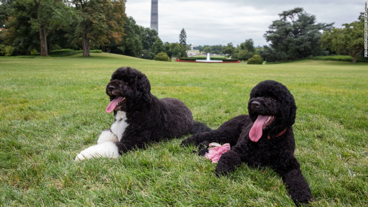 واکنش باراک اوباما و همسرش به درگذشت سگ خانوادگیشان