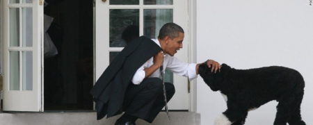 واکنش باراک اوباما و همسرش به درگذشت سگ خانوادگیشان