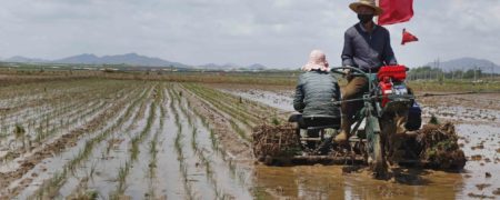 داوطلب شدن کودکان یتیم کره شمالی برای کار در معادن زغال سنگ و مزارع اشتراکی