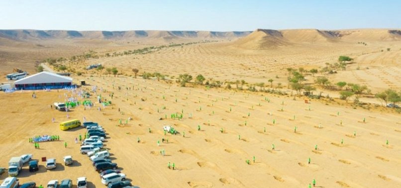 عربستان سعودی قصد دارد به عنوان بخشی از یک کمپین جاه طلبانه، بیش از 10 میلیارد اصله درخت در بیابان های این کشور بکارد.