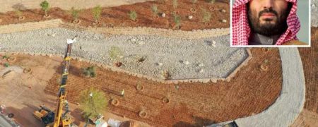 برنامه عربستان سعودی برای کاشت ۱۰ میلیارد اصله درخت در بیابان های این کشور
