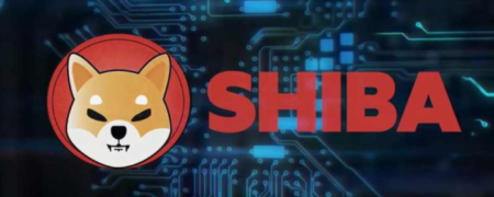 میلیونر شدن دو برادر بعد از چند صد دلار سرمایه گذاری روی رمز ارز شیبا اینو کوین