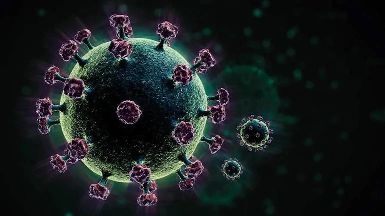 در ادامه این مطلب می خواهیم در مورد شواهد و قرائنی صحبت کنیم که نشان می دهد منشأ کرونا و ویروس کووید-19 آزمایشگاه ویروس شناسی ووهان بوده است
