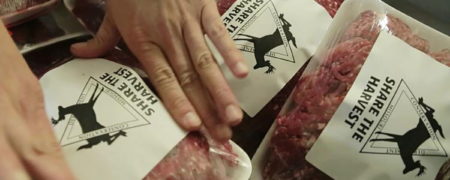 عرضه گوشت گوزن با قیمت‌های نجومی در ایران