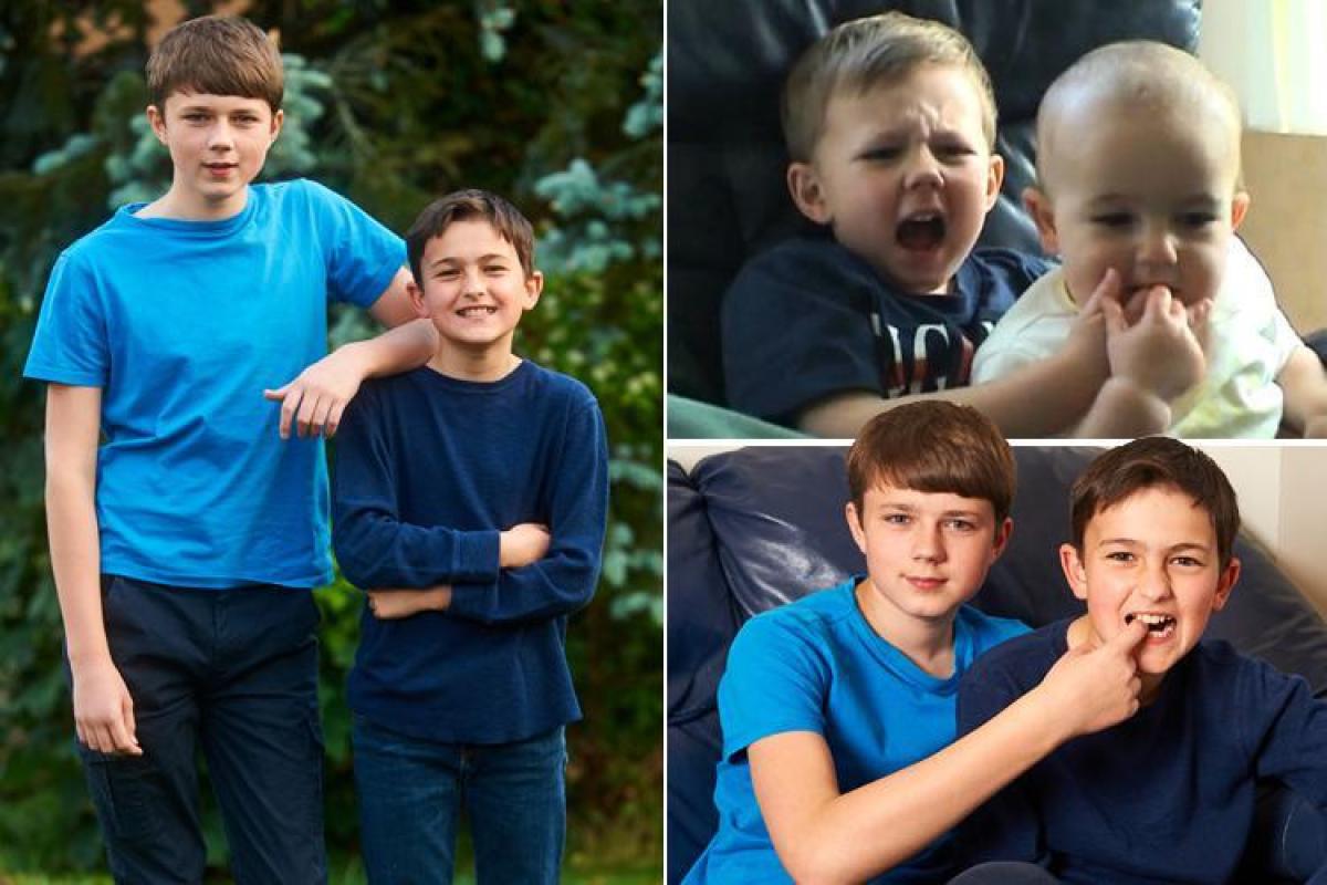 حراج ویدیو «چارلی انگشتمو گاز گرفت» (Charlie Bit My Finger)