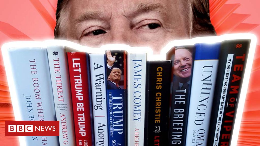 دونالد ترامپ مدعی شده است که در حال نوشتن «کتاب همه کتاب ها» است، کتابی که پرفروش ترین کتاب های تاریخ را نیز کنار خواهد زد